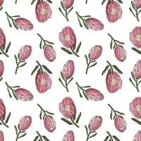 Hand drawn vector seamless pattern of king protea.