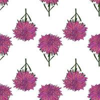Vector botanical hand drawn pattern of asters flowers, daisies