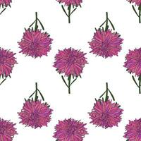 Vector botanical hand drawn pattern of asters flowers, daisies