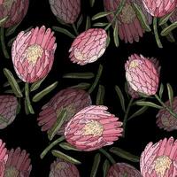 Hand drawn vector seamless pattern of king protea.