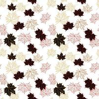 Vector seamless pattern of maple fall leaves