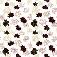 Vector seamless pattern of maple fall leaves