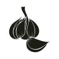 Black silhouette of Garlic with cloves, icon hand drawing, isolated on white background. vector