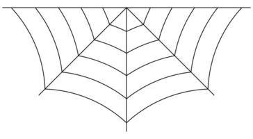 Halloween with Spider Web and Spiders vector