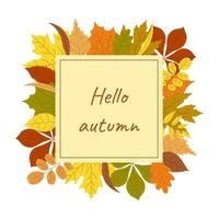 Hello autumn frame with autumn leaves. vector