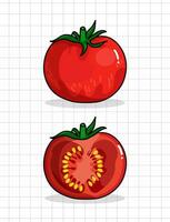 Fruit Vector Illustration