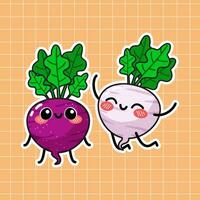 Radish Vegetable Illustration vector