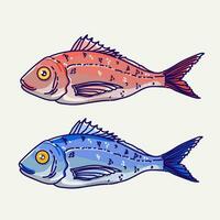 Sea Bass Cute Fish Vector Illustration