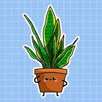 Sansieverra Plant Illustration vector