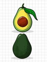 Ilustración de vector de fruta de aguacate