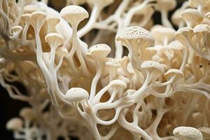 Organic structure of organic mushroom mycelium.AI Generative photo