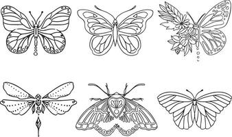 Set of linear butterflies monochrome  illustration vector