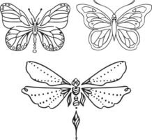 Set of linear butterflies monochrome  illustration vector