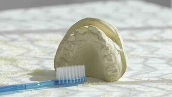 un cepillo de dientes y un modelo dientes en un blanco superficie video