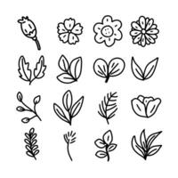 set of hand drawn line art garden plant vector