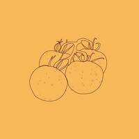 Tomato Line Art Vector Design