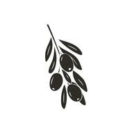 Olive vector icon. Olive branch glyph icon. Fruit Symbol, logo illustration. Vector isolated illustration on white. for shops and markets.