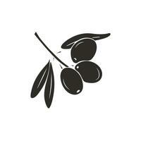 Olive branch glyph icon. Fruit Symbol, logo illustration. Vector isolated illustration for design advertising products shops, or markets. Farm product isolated illustration on white