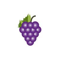 uvas icono vector diseño plantillas