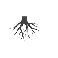 árbol raíces vector icono ilustración diseño