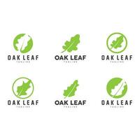 Oak Leaf Logo Design, Simple Green Plant Vector, Template Illustration vector