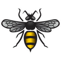 abeille image png