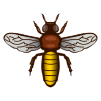 abeja imagen png