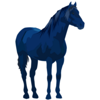 caballos imagen png