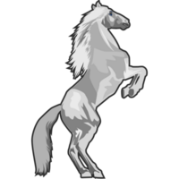 caballos imagen png