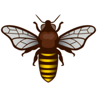 abeja imagen png