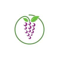 Grape fruits with leaf icon vector illustrtion