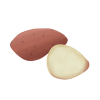 Sweet Potato Illustration png