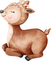 Baby Hirsch Schlafen Zoo Tiere Aquarell png