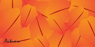 Abstract background design with autumn theme. vector