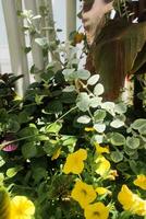 Flower bed with colorful tropical leaves photo