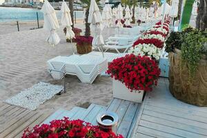 playa línea para relajación con Dom tumbonas y flores foto