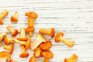 Cantharellus Cibarius, chanterelle mushrooms yellow on chalkboard photo