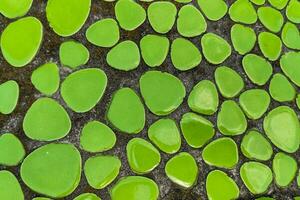 verde textura mosaico de cerámica de redondo forma foto