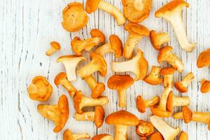 Cantharellus Cibarius, chanterelle mushrooms yellow on chalkboard photo