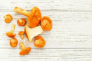 Cantharellus Cibarius, chanterelle mushrooms yellow on chalkboard photo
