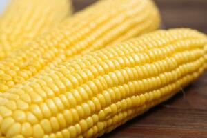 Cobs of sweet yellow corn on the table with boards photo