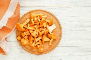 Cantharellus Cibarius, chanterelle mushrooms yellow on chalkboard photo