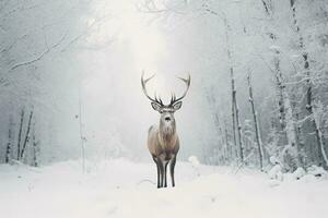 un ciervo soportes en frente de un nieve cubierto campo en un invierno bosque. generativo ai foto