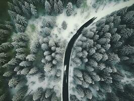 Aerial view of a highway winding through a forest in both summer and winter seasons. Generative AI photo