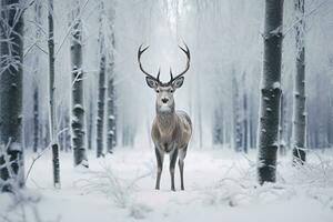 A deer stands in front of a snow covered field in a winter forest. Generative AI photo