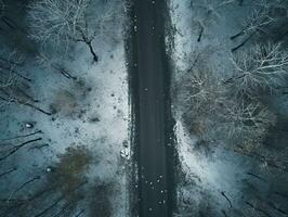 Aerial view of a highway winding through a forest in both summer and winter seasons. Generative AI photo