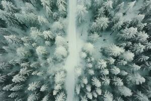Aerial view of a highway winding through a forest in both summer and winter seasons. Generative AI photo
