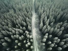 Aerial view of a highway winding through a forest in both summer and winter seasons. Generative AI photo