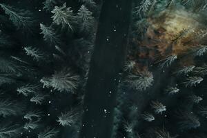 Aerial view of a highway winding through a forest in both summer and winter seasons. Generative AI photo
