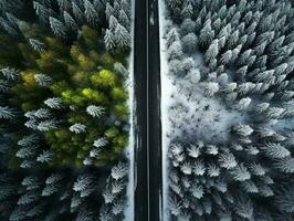 aéreo ver de un autopista devanado mediante un bosque en ambos verano y invierno estaciones. generativo ai foto